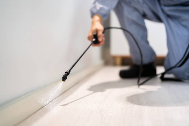 Licensed Fumigation Services service in Elmore County County, ID - Nex Pest Control